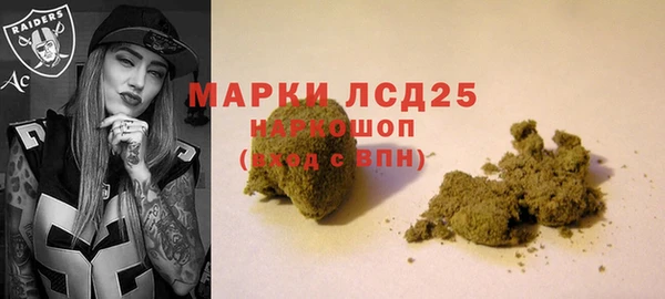 Альфа ПВП Пересвет