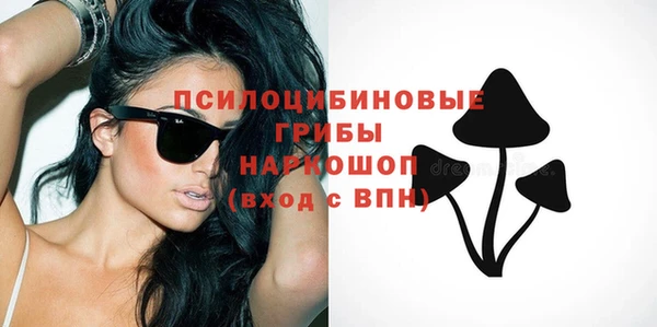 бошки Переславль-Залесский