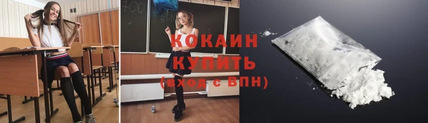 Альфа ПВП Пересвет