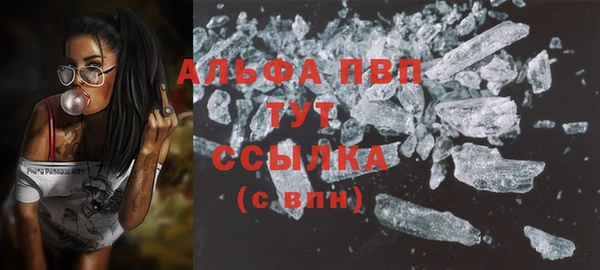 Альфа ПВП Пересвет