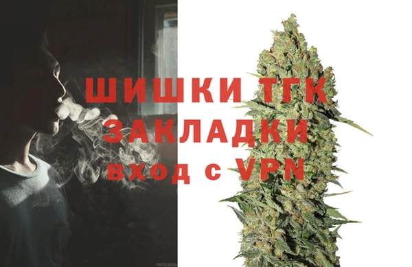 Альфа ПВП Пересвет